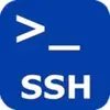 Persistent SSH