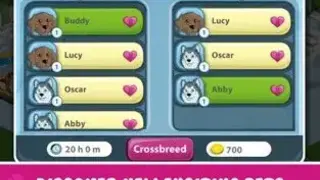 Pet City screenshot