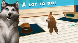 Pet Hotel – My hotel for cute animals screenshot