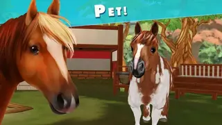 Pet Hotel – My hotel for cute animals screenshot