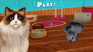 Pet Hotel – My hotel for cute animals screenshot