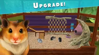 Pet Hotel – My hotel for cute animals screenshot