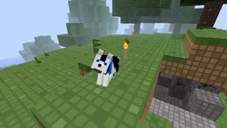 Pet Ideas – Minecraft screenshot