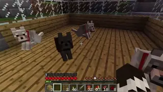 Pet Ideas – Minecraft screenshot