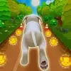 Pet Run – Puppy Dog Game