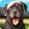 Pet World – My Animal Hospital