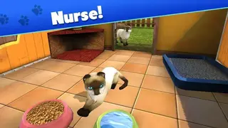 Pet World My Animal Shelter screenshot
