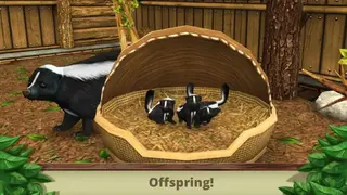 Pet World – WildLife America screenshot