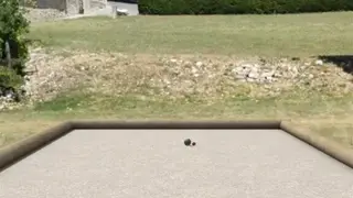 Petanque screenshot