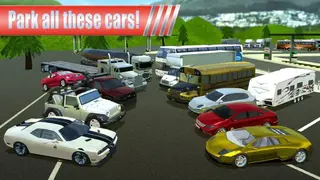 Petrol Station Car Parking Simulator screenshot