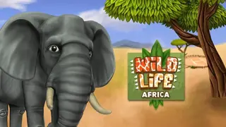 PetWorld: WildLife Africa screenshot