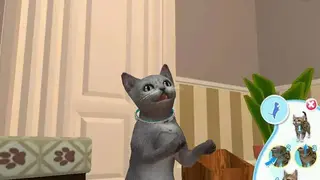 Petz: Catz 2 screenshot