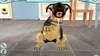 Petz: Dogz screenshot