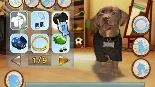Petz Sports screenshot