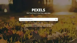 Pexels screenshot