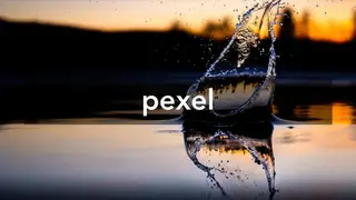 Pexels screenshot