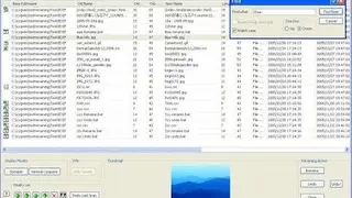 PFrank screenshot