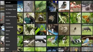 Phereo 3D Photo screenshot