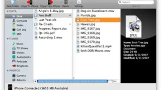 PhoneView screenshot