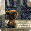Photo Effects Theme Nature