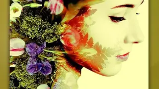Photo Overlays – Blender screenshot