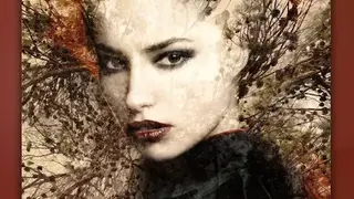 Photo Overlays – Blender screenshot