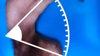 Photo Protractor screenshot