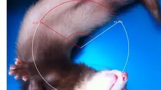 Photo Protractor screenshot