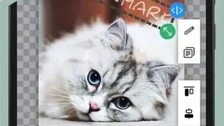 Photo Watermark screenshot