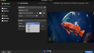 PhotoBulk screenshot