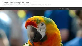 PhotoFilters screenshot