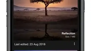 PHOTOLEAF PHOTO EDITOR screenshot
