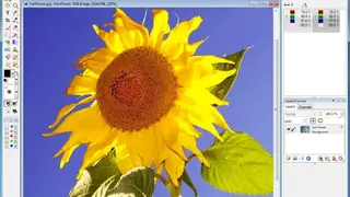 Photoline screenshot