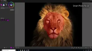 PhotoMirage screenshot