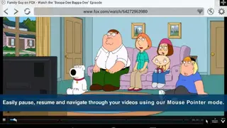 Photon Flash Player and Browser screenshot