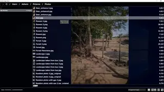 PhotoQt screenshot