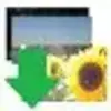 Photos Desktop Downloader