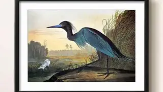 Photos to Art screenshot