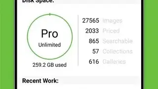 Photoshelter screenshot