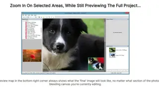 PhotoTangler Collage Maker screenshot