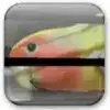 PhotoWipe