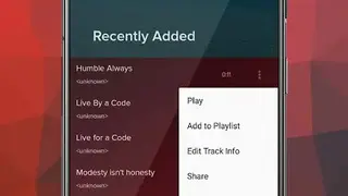 Pi Music Player screenshot