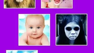 Pic Morph screenshot