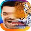 Pic Morph