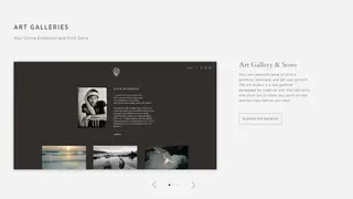 Pic Time screenshot
