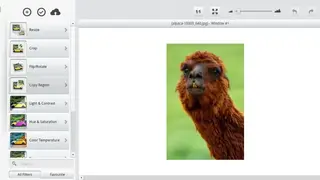Picadilo Photo Editor screenshot
