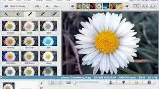 Picasa screenshot