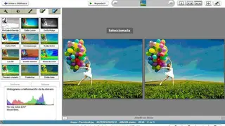 Picasa screenshot