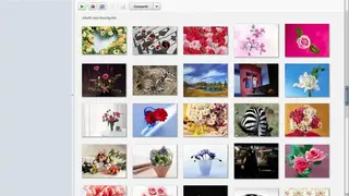 Picasa screenshot