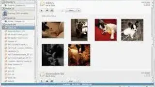 Picasa screenshot